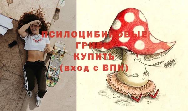 PSILOCYBIN Армянск